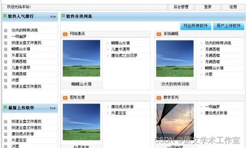 ASP.NET 軟件貿(mào)易網(wǎng)站的設(shè)計(jì)與實(shí)現(xiàn)